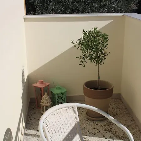 Bougainvillea *
