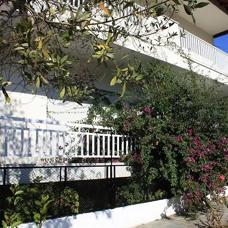 Bougainvillea Daire
