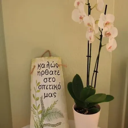Bougainvillea * Pyrgadikia